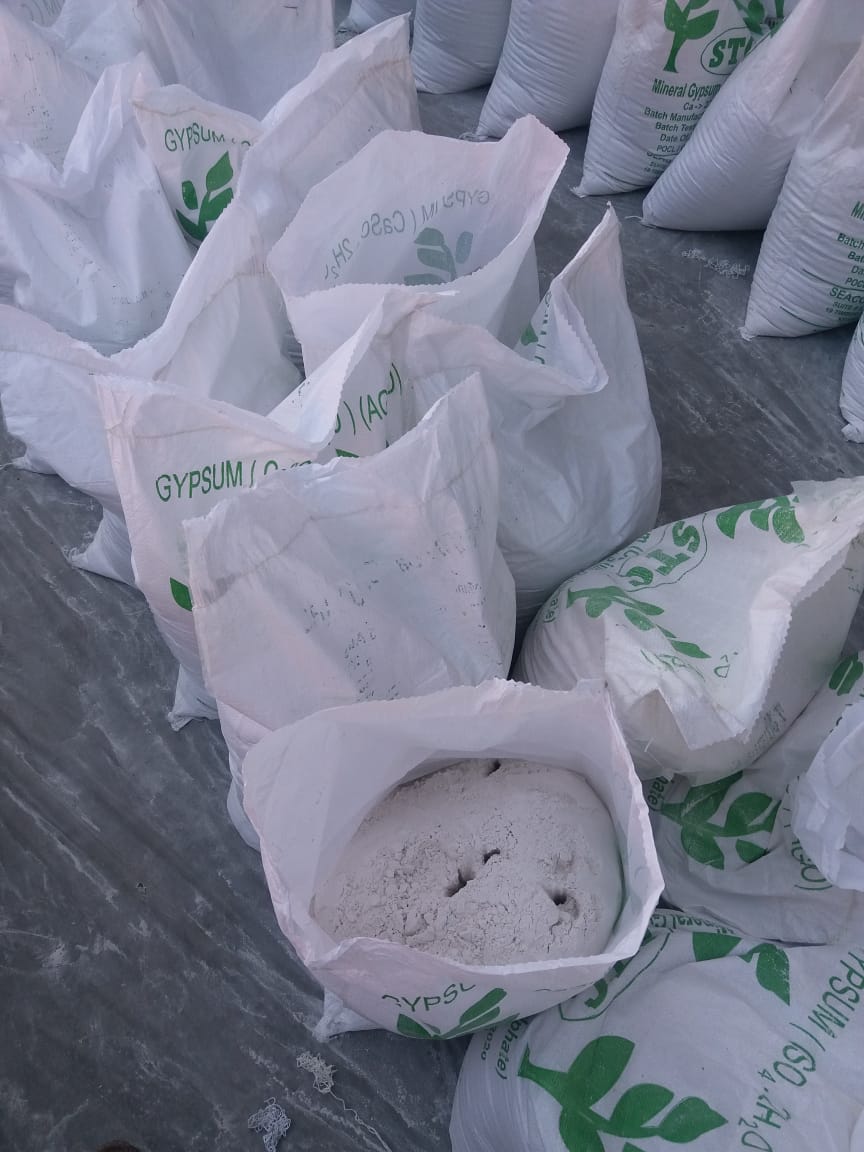 Gypsum Powder